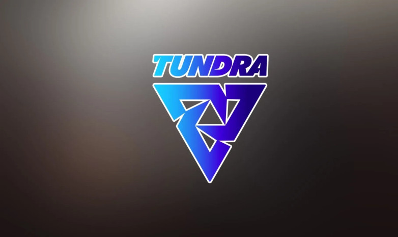 Tundra Esports расформировала состав по Dota 2