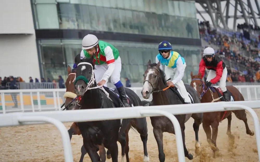 Қазақстан ұлттық спортты дамытуға 6 миллиард теңгеге жуық қаржы бөлген